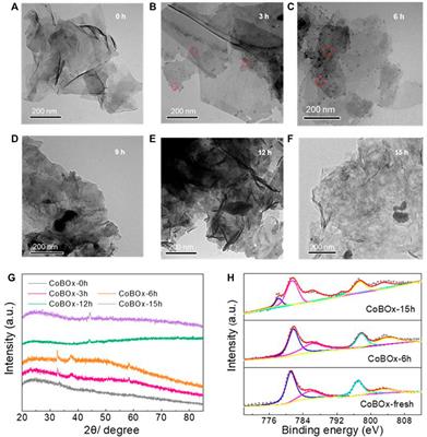 In-situ reconstruction of CoBOx enables formation of Co for synthesis of benzylamine through reductive amination
